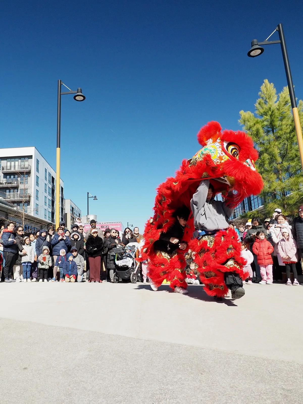 Lunar New Year photograph 13